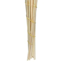Stems & Bouquets-Kirkland's Home Natural Bleached Pampas Grass Stems, Set Of 6 Ivory