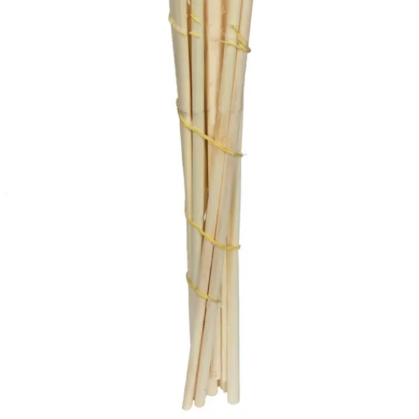 Stems & Bouquets-Kirkland's Home Natural Bleached Pampas Grass Stems, Set Of 6 Ivory