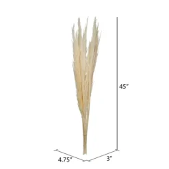 Stems & Bouquets-Kirkland's Home Natural Bleached Pampas Grass Stems, Set Of 6 Ivory