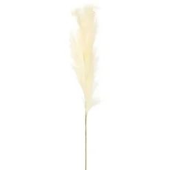 Stems & Bouquets-Kirkland's Home Natural Cream Pampas Grass Stems, Set Of 4 Ivory