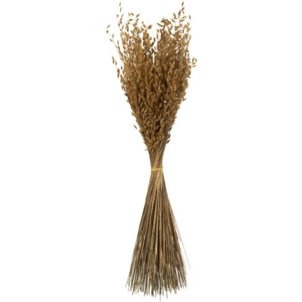Stems & Bouquets-Kirkland's Home Natural Dried Princess Grass Bundles, Set Of 3 Tan