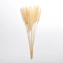 Stems & Bouquets-Kirkland's Home Natural Pampas Bundle Tan