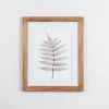 Framed Art-Kirkland's Home Neutral Fern Ii Framed Art Print Gray/White