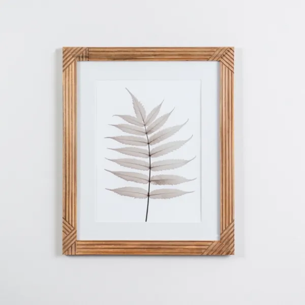 Framed Art-Kirkland's Home Neutral Fern Ii Framed Art Print Gray/White