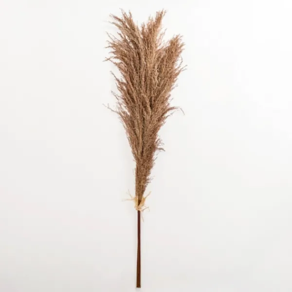 Stems & Bouquets-Kirkland's Home Nutmeg Pampas Grass Bundle Brown