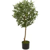 Trees & Topiaries-Kirkland's Home Olive Tree, 3.5 Ft.