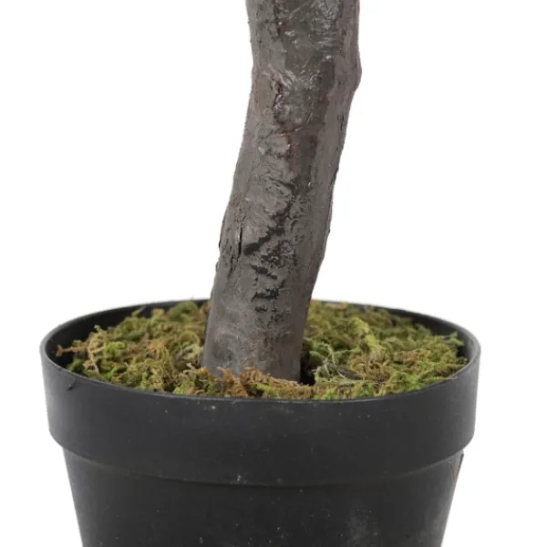 Trees & Topiaries-Kirkland's Home Olive Tree In Black Planter, 50 In.
