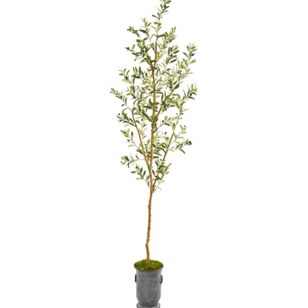 Trees & Topiaries-Kirkland's Home Olive Tree In Mossy Metal Planter