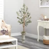 Trees & Topiaries-Kirkland's Home Olive Tree In Sandy Urn Planter