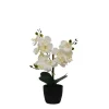 Arrangements & Greenery-Kirkland's Home Orchid Arrangement In Black Decorative Pot White/Black