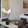 Arrangements & Greenery-Kirkland's Home Orchid Arrangement In Black Pot White/Black