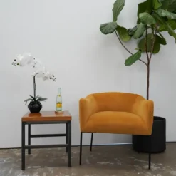 Arrangements & Greenery-Kirkland's Home Orchid Arrangement In Floral Planter Black