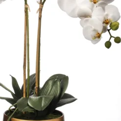 Arrangements & Greenery-Kirkland's Home Orchid Arrangement In Gold Pot, 22 In. White