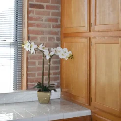 Arrangements & Greenery-Kirkland's Home Orchid Arrangement In Gold Pot White/Gold