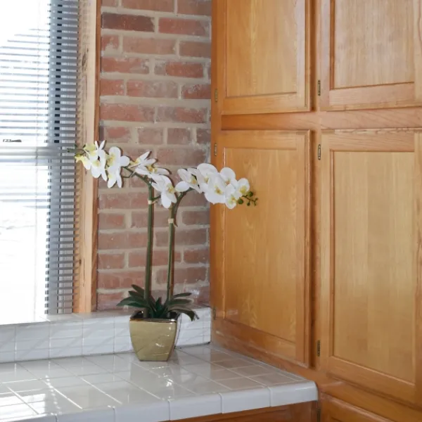 Arrangements & Greenery-Kirkland's Home Orchid Arrangement In Gold Pot White/Gold