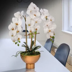 Arrangements & Greenery-Kirkland's Home Orchid Arrangement In Gold Pot, 25 In. White