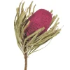 Stems & Bouquets-Kirkland's Home Orchid Dried Jumbo Banksia Stems, Set Of 3 Purple
