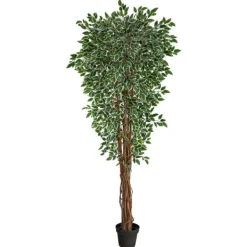 Trees & Topiaries-Kirkland's Home Outdoor Variegated Ficus Tree In Black Planter