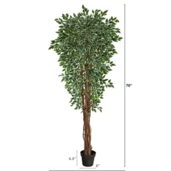 Trees & Topiaries-Kirkland's Home Outdoor Variegated Ficus Tree In Black Planter
