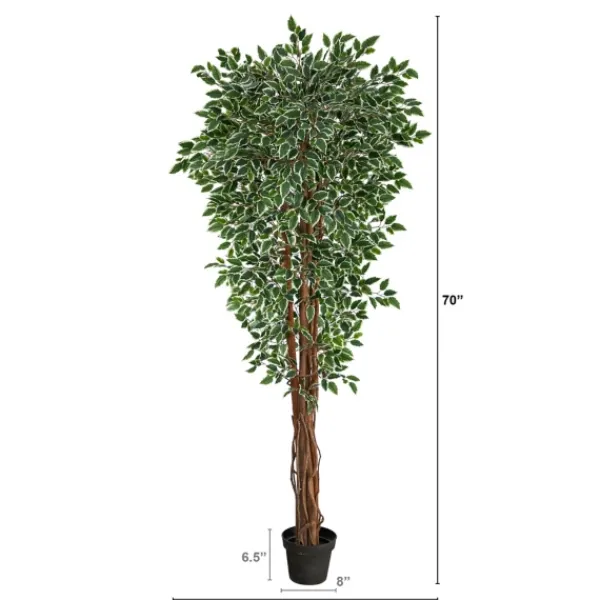 Trees & Topiaries-Kirkland's Home Outdoor Variegated Ficus Tree In Black Planter
