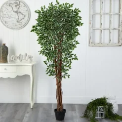 Trees & Topiaries-Kirkland's Home Outdoor Variegated Ficus Tree In Black Planter