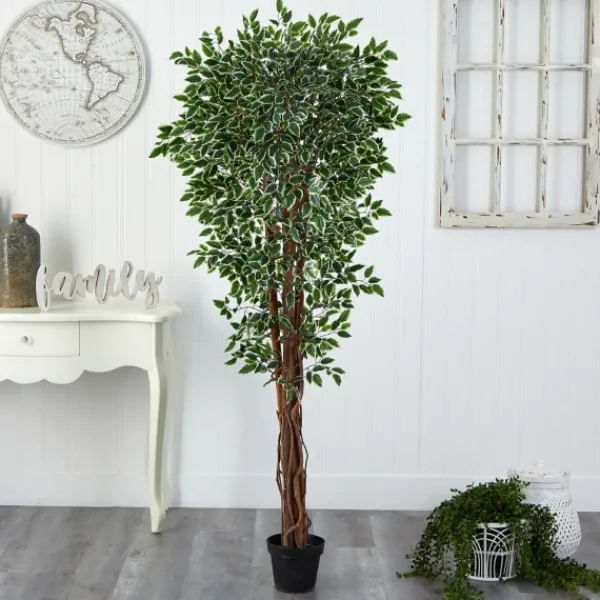 Trees & Topiaries-Kirkland's Home Outdoor Variegated Ficus Tree In Black Planter