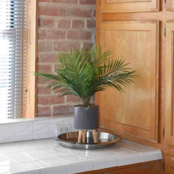 Arrangements & Greenery-Kirkland's Home Palm Arrangement In Gray Footed Pot Green/Gray
