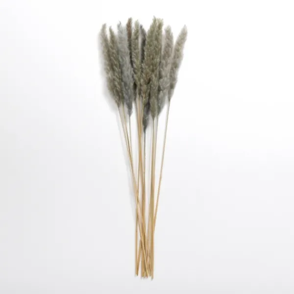 Stems & Bouquets-Kirkland's Home Pampas Bundle Gray