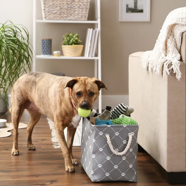 Baskets & Boxes-Kirkland's Home Paw Trellis Rectangle Basket, 16 In. Gray