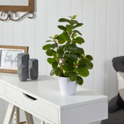 Arrangements & Greenery-Kirkland's Home Peperomia Arrangement In White Planter Green/White