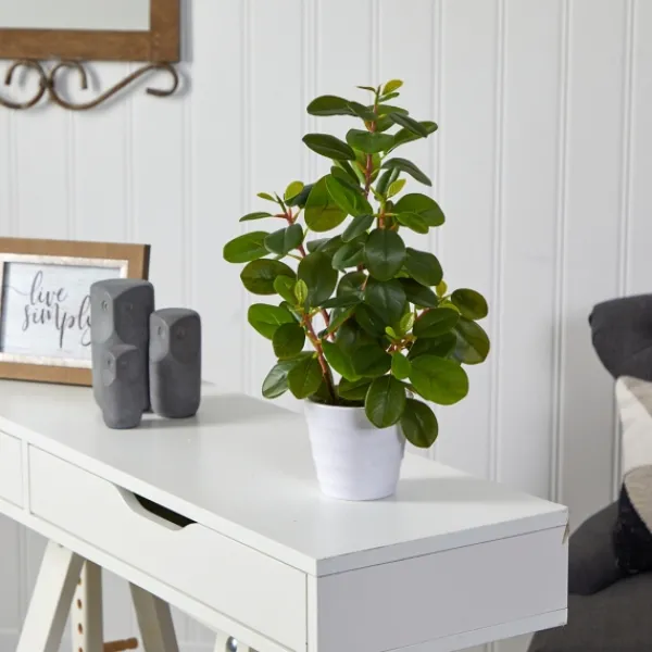 Arrangements & Greenery-Kirkland's Home Peperomia Arrangement In White Planter Green/White