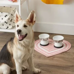 Kitchen & Floor Mats-Kirkland's Home Pink Striped Heart Pet Bowl Mat Pink/White