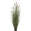 Trees & Topiaries-Kirkland's Home Potted Brown Cats Tails Grass, 48 In.