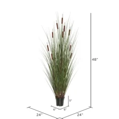 Trees & Topiaries-Kirkland's Home Potted Brown Cats Tails Grass, 48 In.