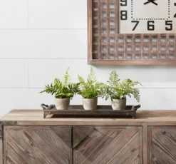Arrangements & Greenery-Kirkland's Home Potted Fern Arrangements, Set Of 3 Green/Gray