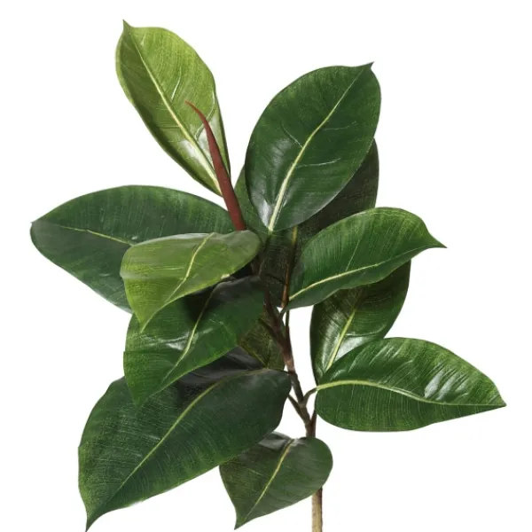 Trees & Topiaries-Kirkland's Home Potted Green Rubber Tree, 5 Ft.