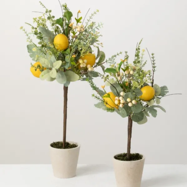 Trees & Topiaries-Kirkland's Home Potted Lemon And Berry Herb Trees, Set Of 2