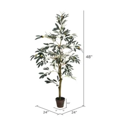Trees & Topiaries-Kirkland's Home Potted Olive Tree, 4 Ft.
