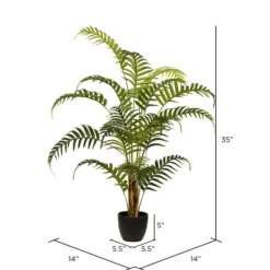 Arrangements & Greenery-Kirkland's Home Potted Small Leaf Fern Palm Plant, 35 In. Green