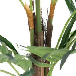 Arrangements & Greenery-Kirkland's Home Potted Small Leaf Fern Palm Plant, 35 In. Green