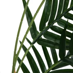 Arrangements & Greenery-Kirkland's Home Potted Small Leaf Fern Palm Plant, 35 In. Green