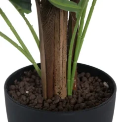 Arrangements & Greenery-Kirkland's Home Potted Small Leaf Fern Palm Plant, 35 In. Green