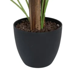 Arrangements & Greenery-Kirkland's Home Potted Small Leaf Fern Palm Plant, 35 In. Green