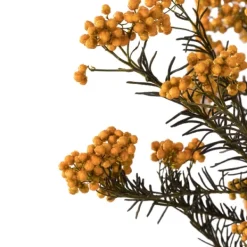 Stems & Bouquets-Kirkland's Home Preserved Autumn Rice Flower Bundle Orange