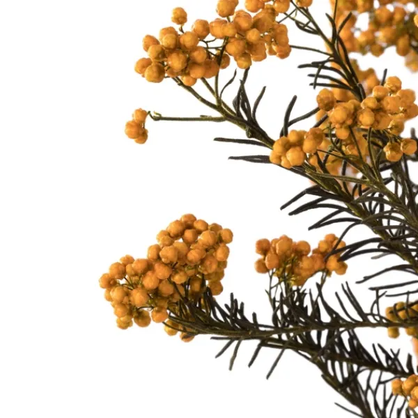 Stems & Bouquets-Kirkland's Home Preserved Autumn Rice Flower Bundle Orange