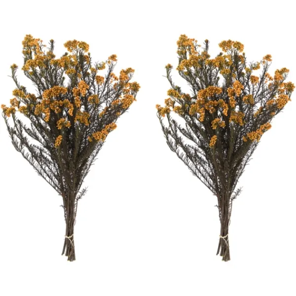 Stems & Bouquets-Kirkland's Home Preserved Autumn Rice Flower Bundle Orange