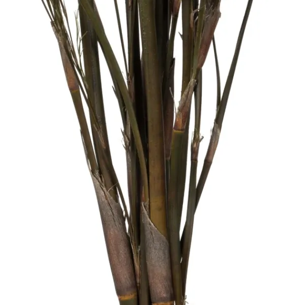 Stems & Bouquets-Kirkland's Home Preserved Green Reed Grass Bundle Brown