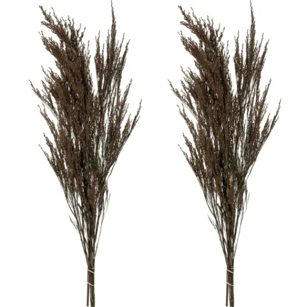 Stems & Bouquets-Kirkland's Home Preserved Green Reed Grass Bundle Brown