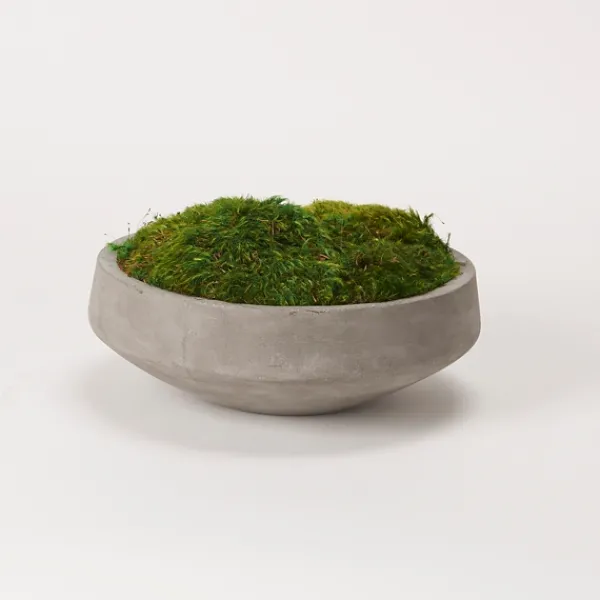 Arrangements & Greenery-Kirkland's Home Preserved Mood Moss In Round Cement Bowl Green/Gray