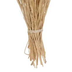 Stems & Bouquets-Kirkland's Home Preserved Natural Bleached Staavia Bush Tan